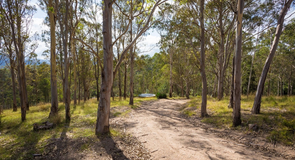 1150 Warrigal Range Road, Brogo, NSW, 2550 - Image 2