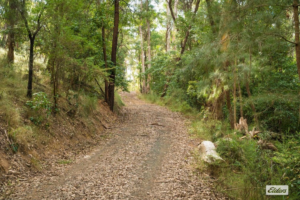293 Frogs Hollow Lane, Frogs Hollow, NSW, 2550 - Image 31