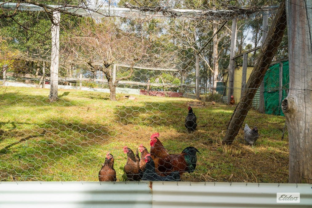 293 Frogs Hollow Lane, Frogs Hollow, NSW, 2550 - Image 29