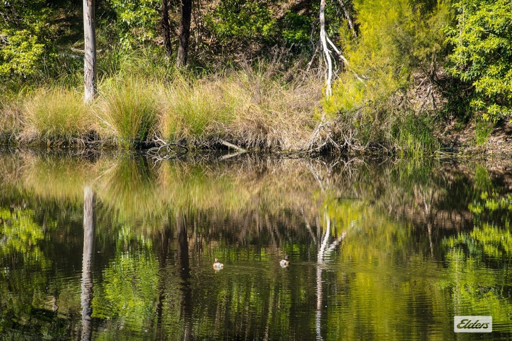 293 Frogs Hollow Lane, Frogs Hollow, NSW, 2550 - Image 35