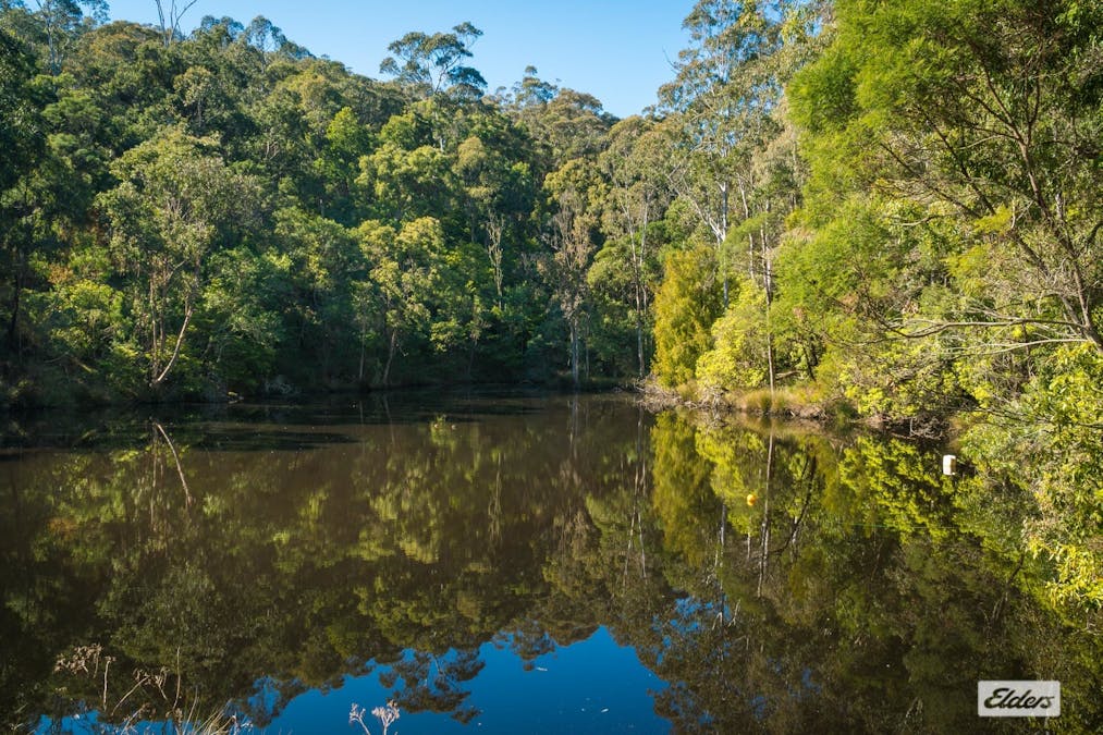 293 Frogs Hollow Lane, Frogs Hollow, NSW, 2550 - Image 33