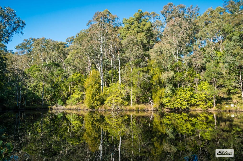 293 Frogs Hollow Lane, Frogs Hollow, NSW, 2550 - Image 34