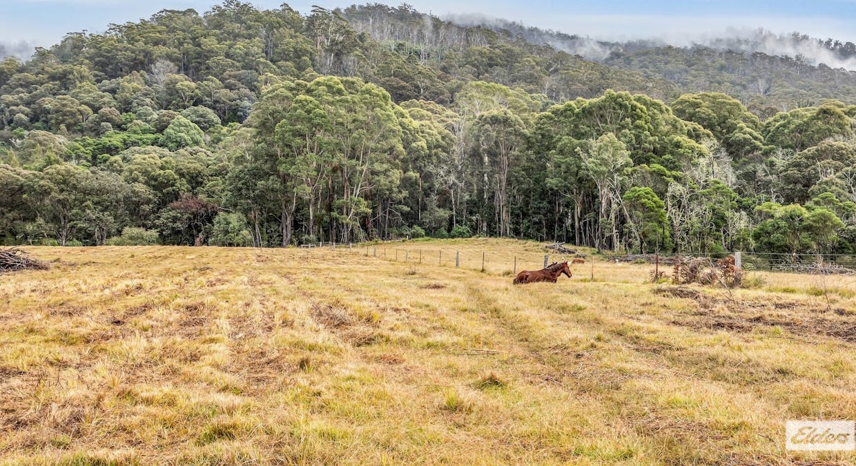 213 Myrtle Mountain Road, Wyndham, NSW, 2550 - Image 28