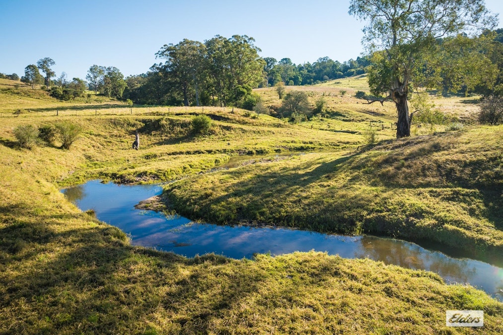 1556 Buckajo Road, Buckajo, NSW, 2550 - Image 6