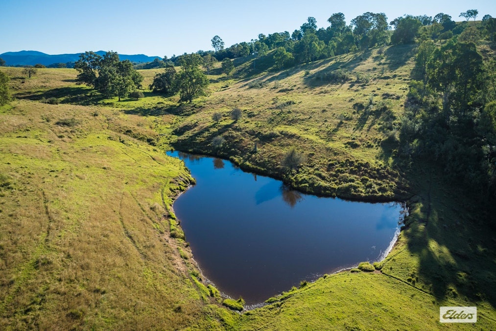 1556 Buckajo Road, Buckajo, NSW, 2550 - Image 7