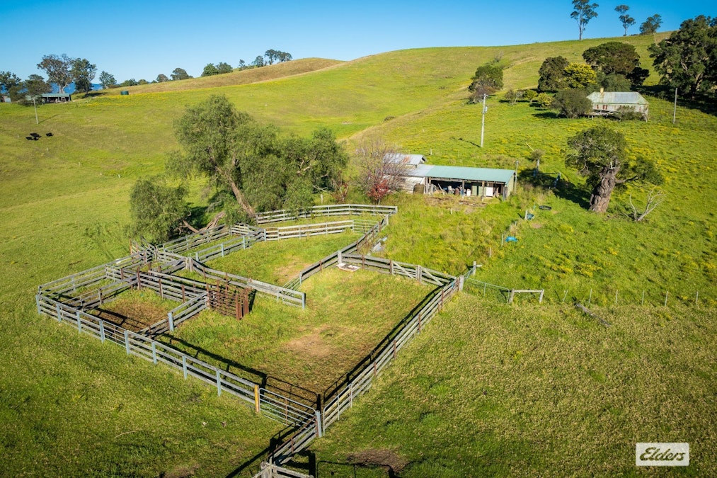 1556 Buckajo Road, Buckajo, NSW, 2550 - Image 11