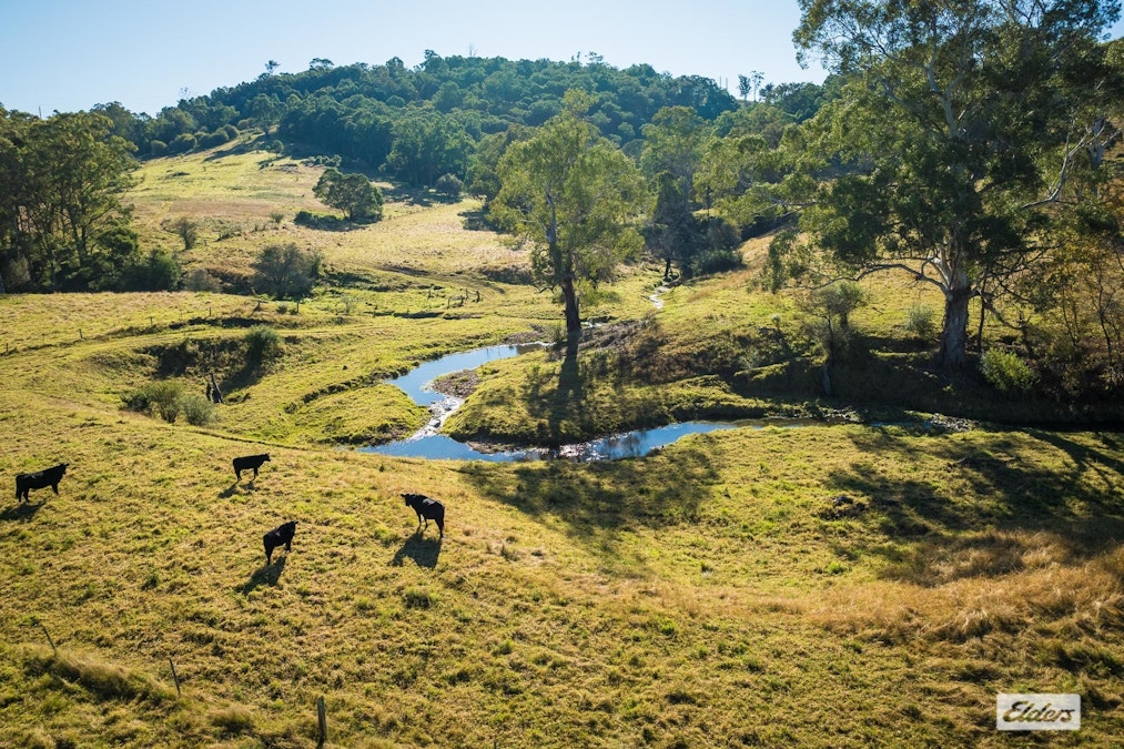 1556 Buckajo Road, Buckajo, NSW, 2550 - Image 13