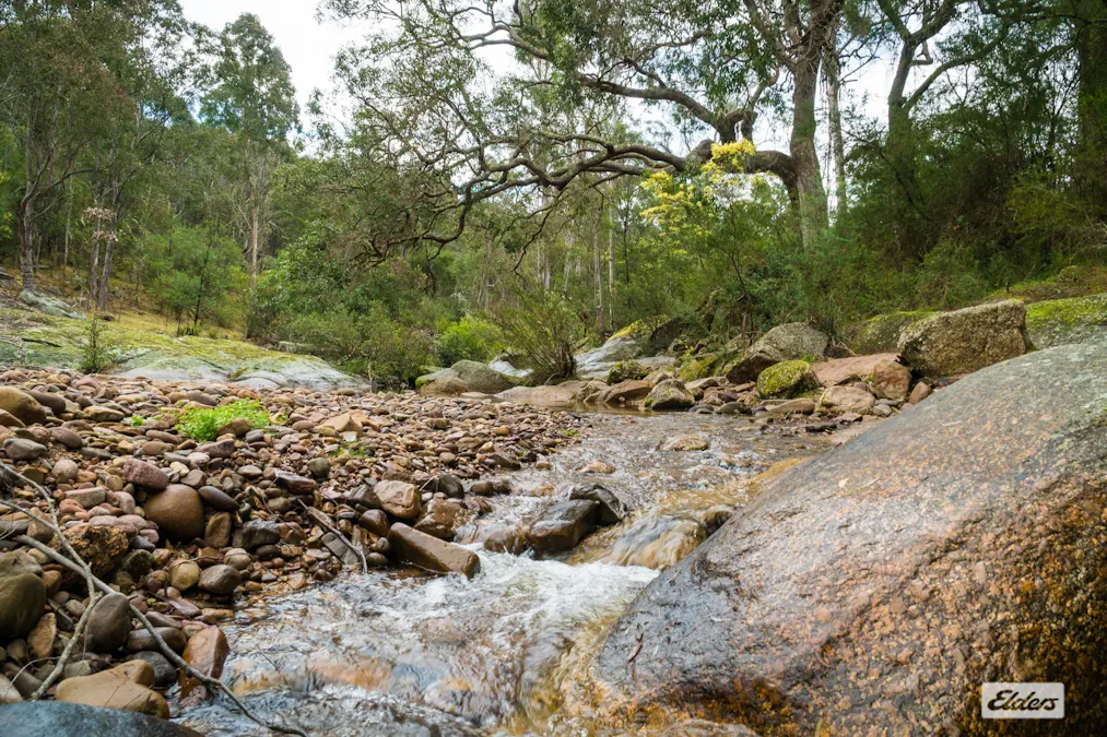 93 Ramble Lane, Brogo, NSW, 2550 - Image 3