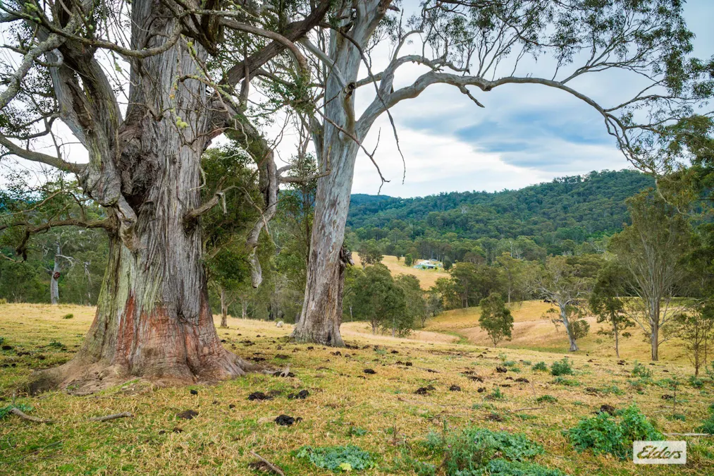 93 Ramble Lane, Brogo, NSW, 2550 - Image 19