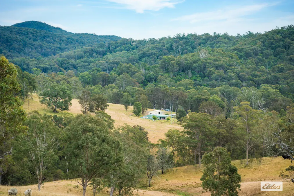 93 Ramble Lane, Brogo, NSW, 2550 - Image 27