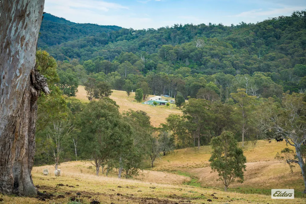 93 Ramble Lane, Brogo, NSW, 2550 - Image 28