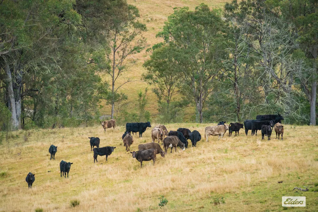 93 Ramble Lane, Brogo, NSW, 2550 - Image 20