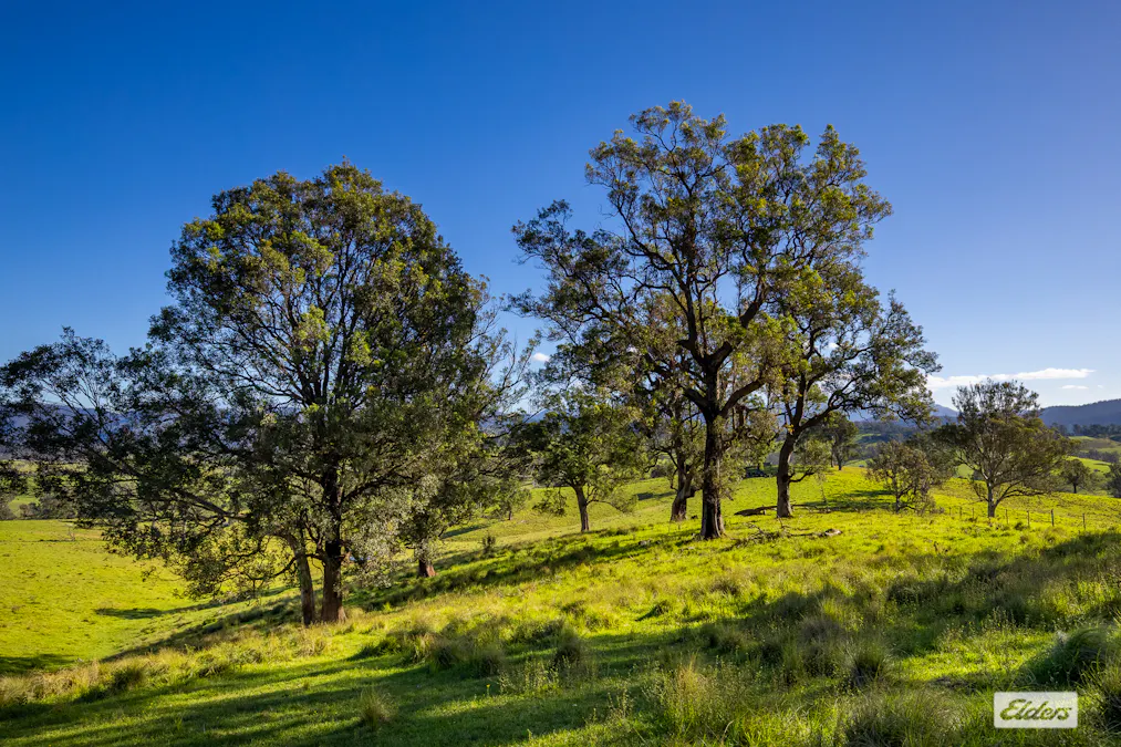 780 Wandella Road, Wandella, NSW, 2550 - Image 14