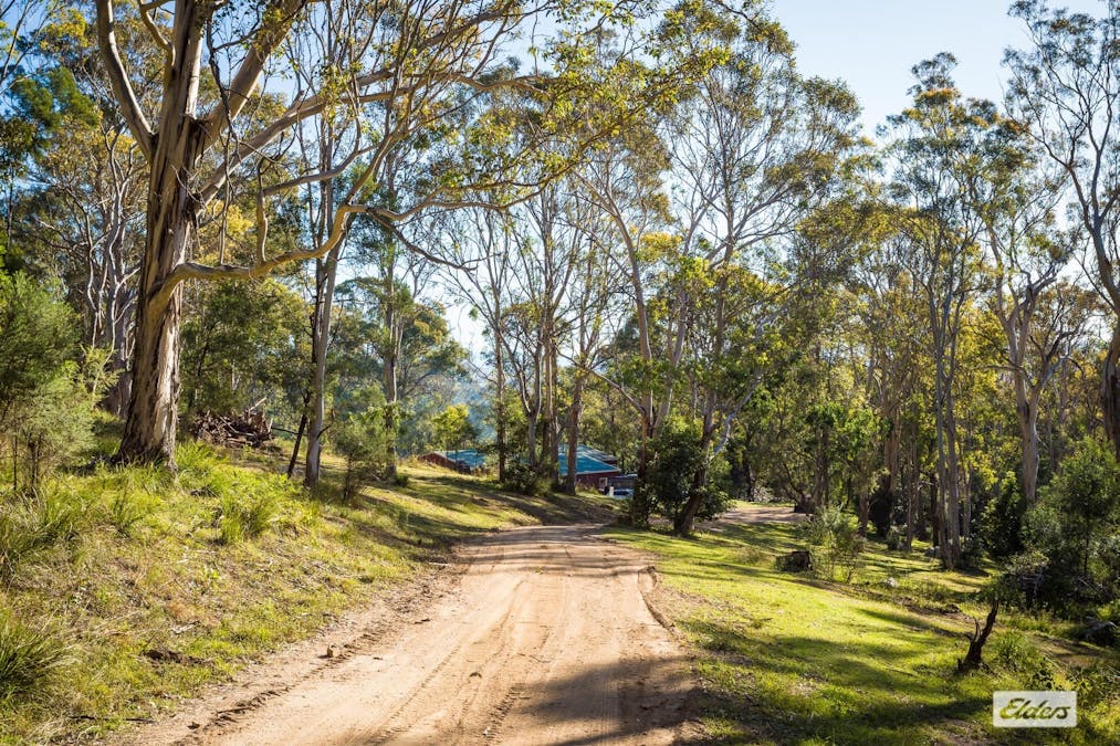 118 Kisimul Road, Bega, NSW, 2550 - Image 18