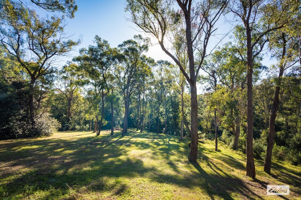 118 Kisimul Road, Bega, NSW, 2550 - Image 19