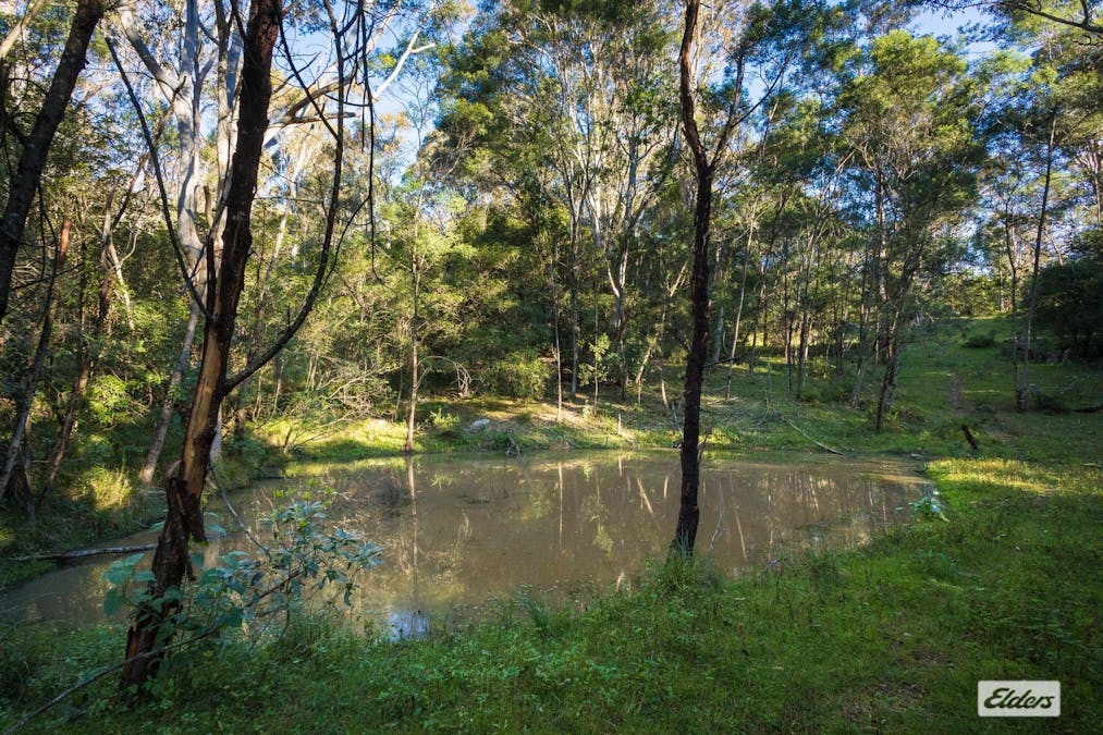 118 Kisimul Road, Bega, NSW, 2550 - Image 22