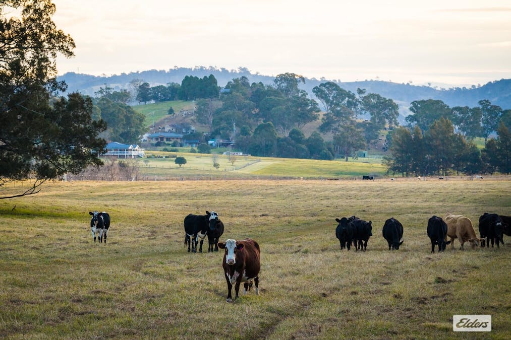 49 Murrays Flat Road, Tarraganda, NSW, 2550 - Image 22