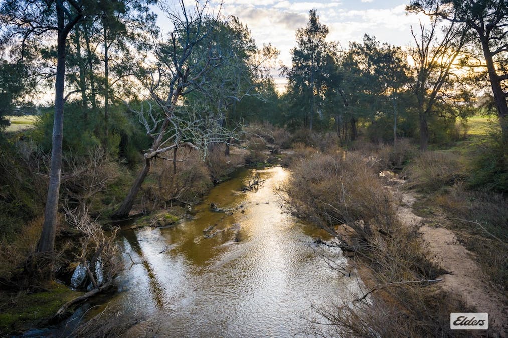 49 Murrays Flat Road, Tarraganda, NSW, 2550 - Image 31