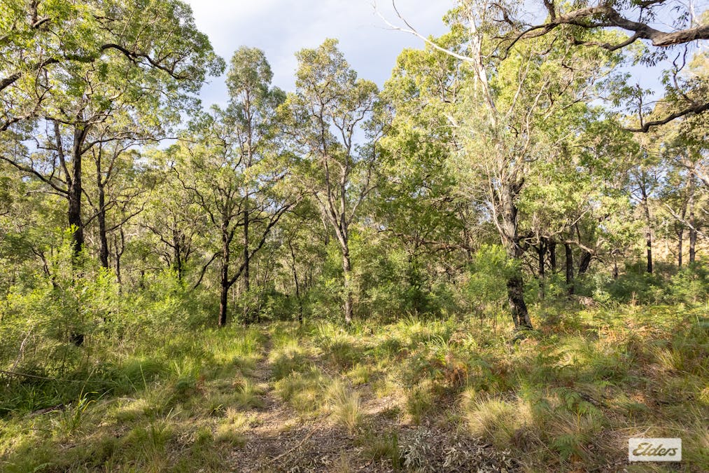 1/Yowrie Road, Yowrie, NSW, 2550 - Image 2