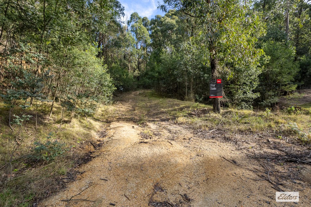 1/Yowrie Road, Yowrie, NSW, 2550 - Image 3