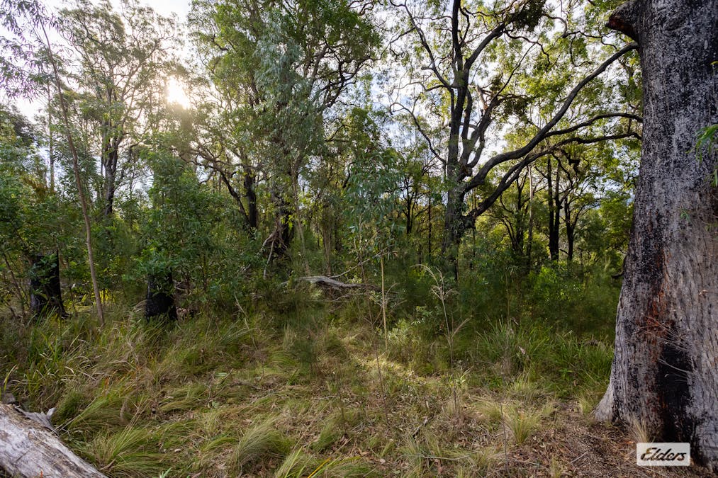 1/Yowrie Road, Yowrie, NSW, 2550 - Image 6