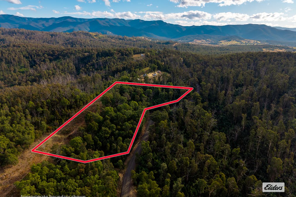 1/Yowrie Road, Yowrie, NSW, 2550 - Image 9