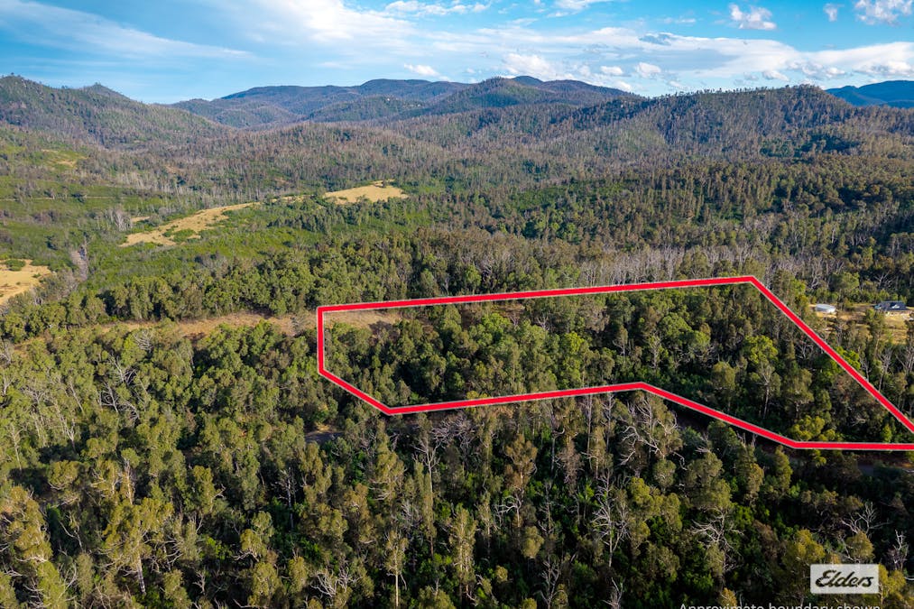 1/Yowrie Road, Yowrie, NSW, 2550 - Image 10