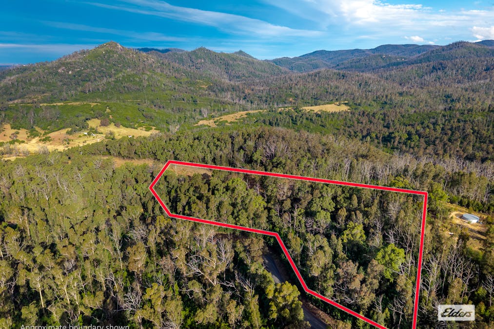 1/Yowrie Road, Yowrie, NSW, 2550 - Image 12