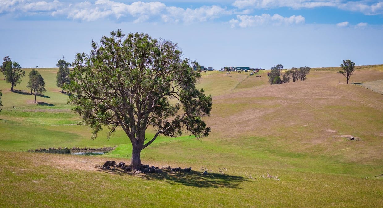 921 Mogilla Road, Tantawangalo, NSW, 2550 - Image 6