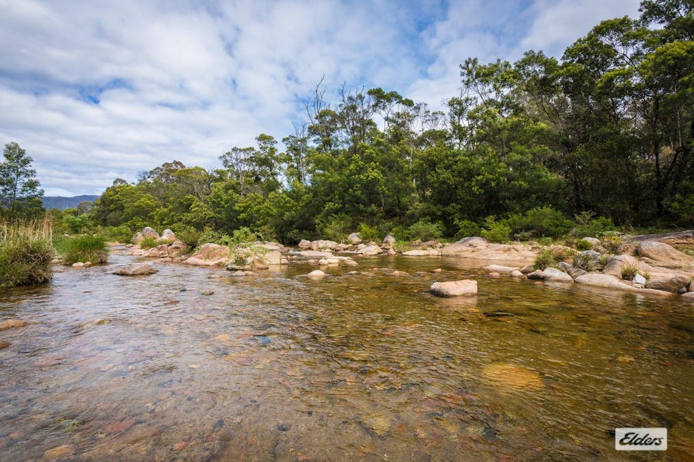 1038 Tantawangalo Mountain Road, Candelo, NSW, 2550 - Image 6