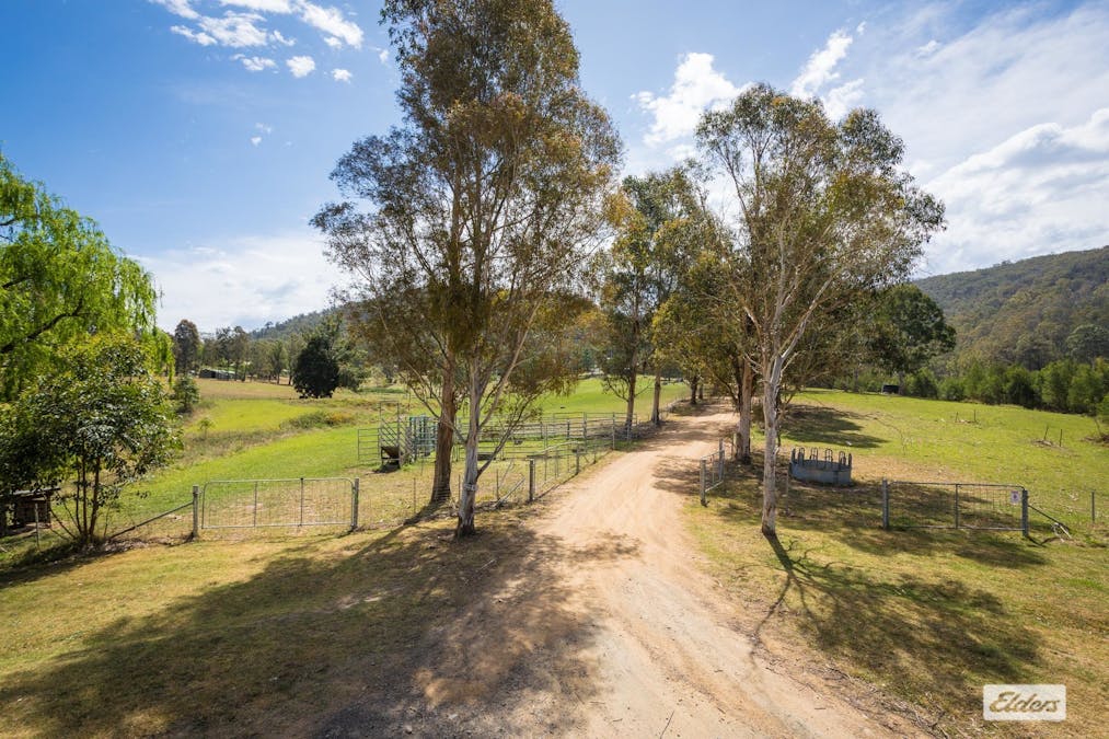 224 Polacks Flat Road, Morans Crossing, NSW, 2550 - Image 26