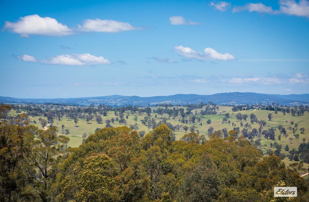 63 Newpark Road, Brogo, NSW, 2550 - Image 17