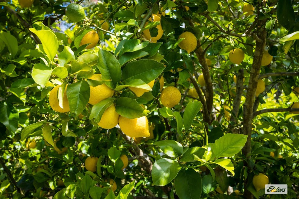 63 Newpark Road, Brogo, NSW, 2550 - Image 20