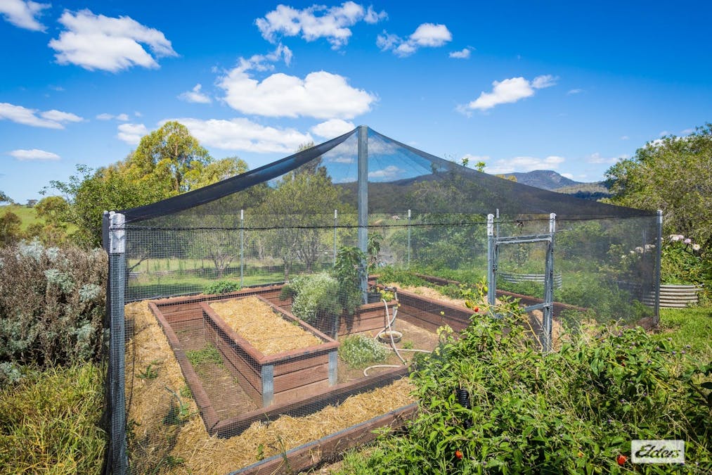 1372 Myrtle Mountain Road, Myrtle Mountain, NSW, 2550 - Image 28