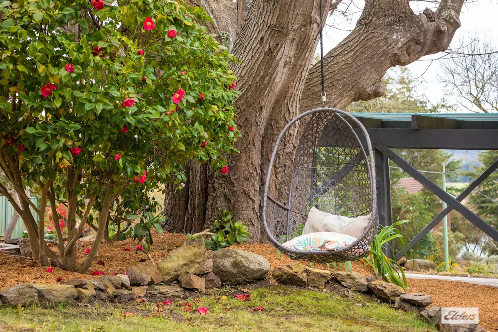 12 Belmore Street, Bega, NSW, 2550 - Image 15