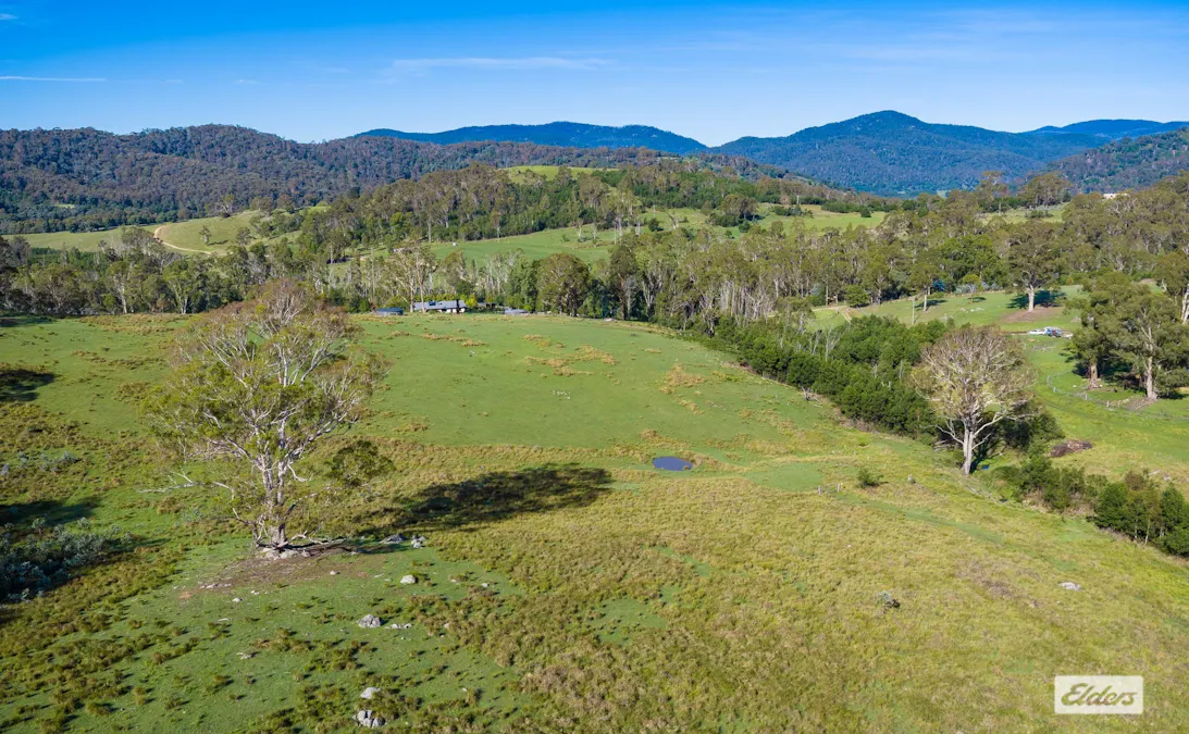 613 New Buildings Road, Wyndham, NSW, 2550 - Image 31