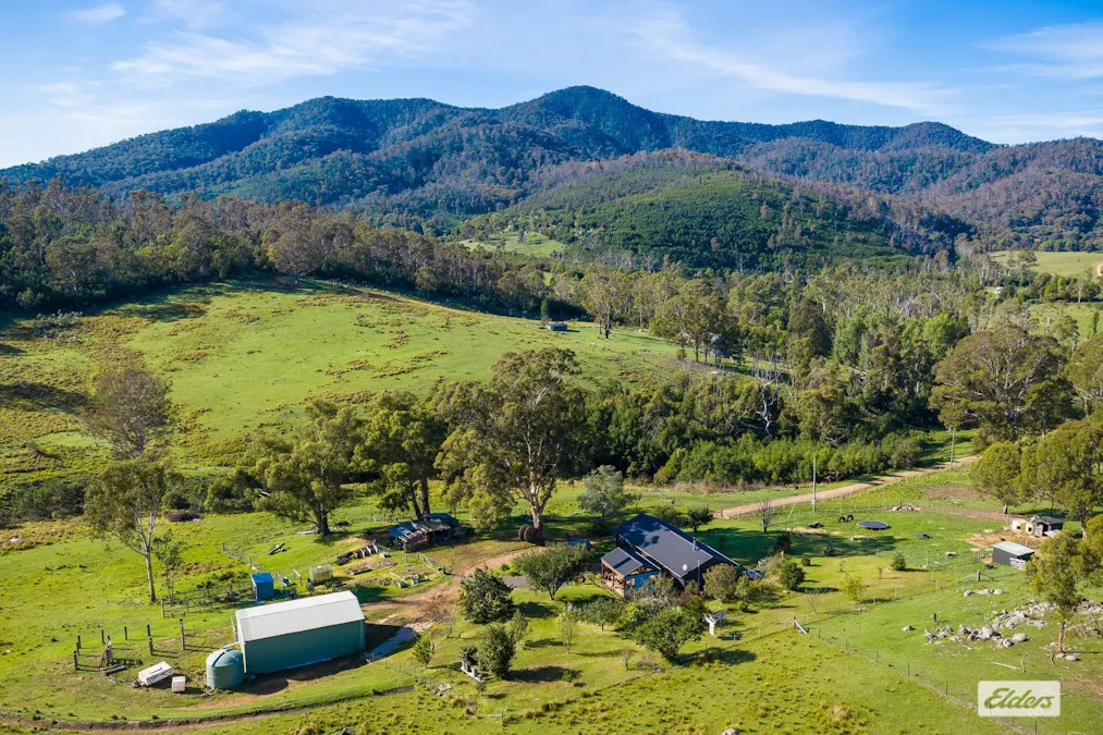 613 New Buildings Road, Wyndham, NSW, 2550 - Image 32