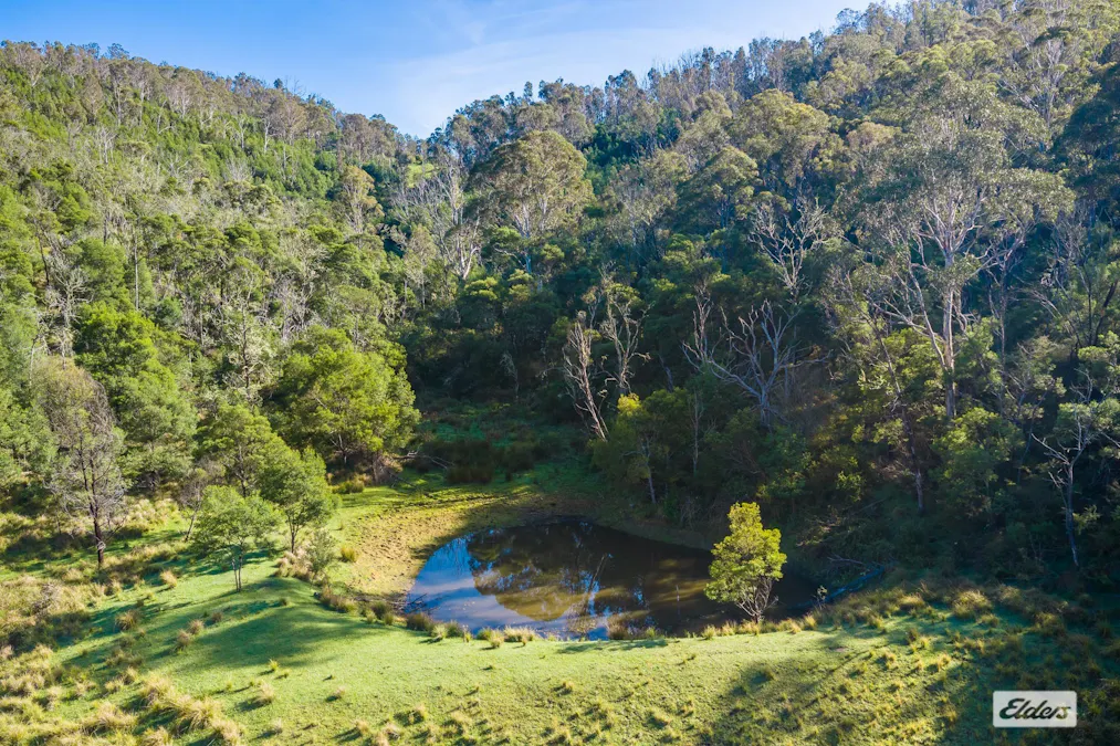 613 New Buildings Road, Wyndham, NSW, 2550 - Image 28