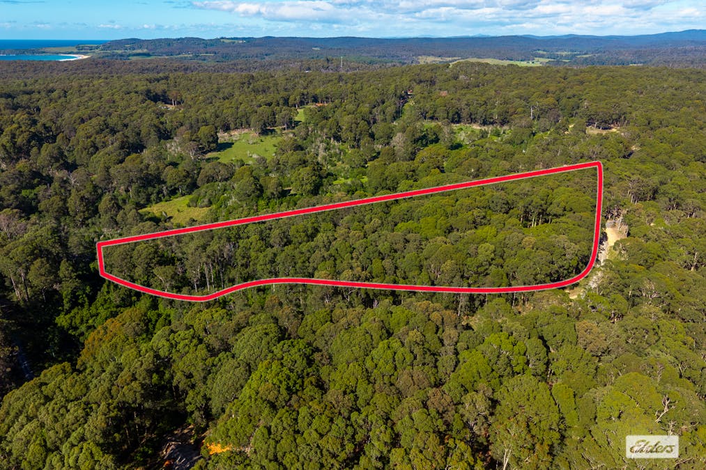 19 Four Winds Road, Barragga Bay, NSW, 2546 - Image 35
