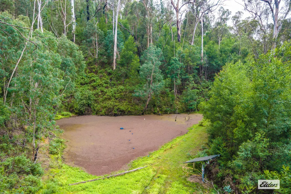 213 Murrabrine Forest Road, Yowrie, NSW, 2550 - Image 28