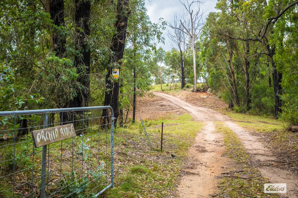 213 Murrabrine Forest Road, Yowrie, NSW, 2550 - Image 29