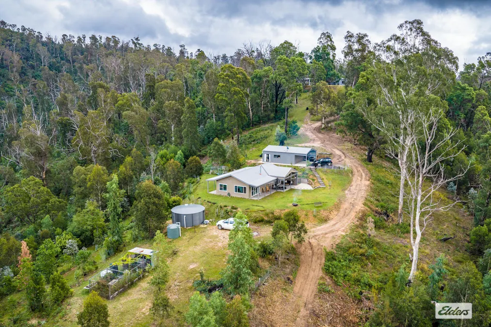 213 Murrabrine Forest Road, Yowrie, NSW, 2550 - Image 23