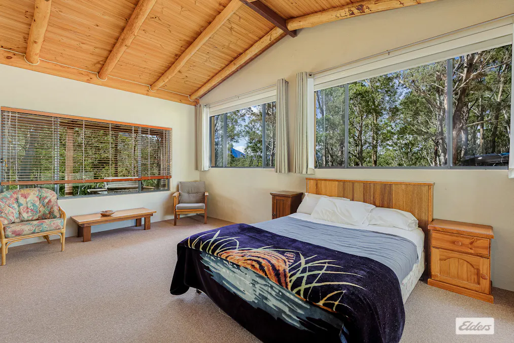 3784 Snowy Mountains Highway, Bemboka, NSW, 2550 - Image 17