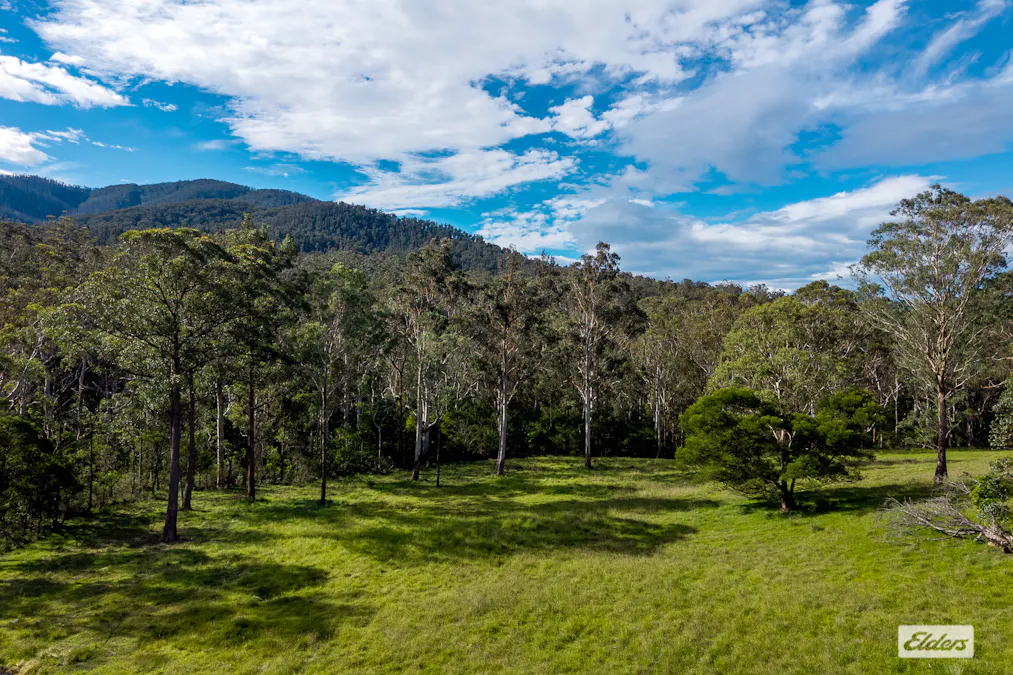 3784 Snowy Mountains Highway, Bemboka, NSW, 2550 - Image 23