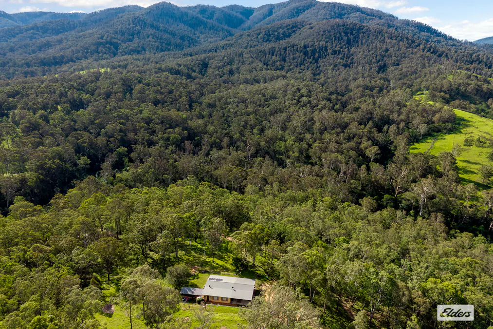 3784 Snowy Mountains Highway, Bemboka, NSW, 2550 - Image 1