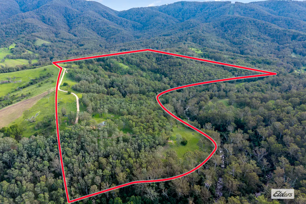 3784 Snowy Mountains Highway, Bemboka, NSW, 2550 - Image 2