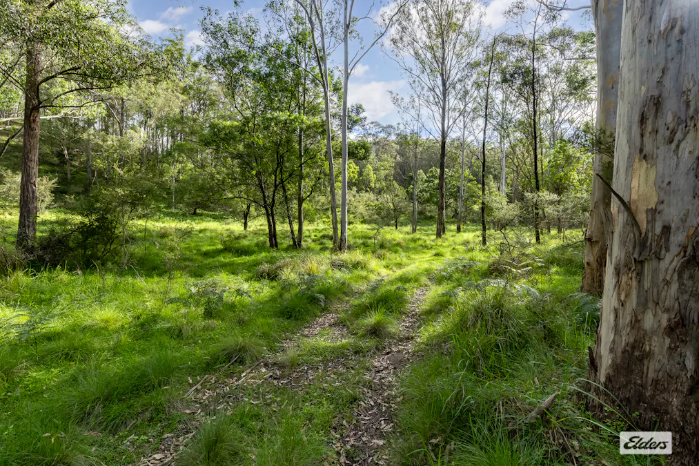 3784 Snowy Mountains Highway, Bemboka, NSW, 2550 - Image 34