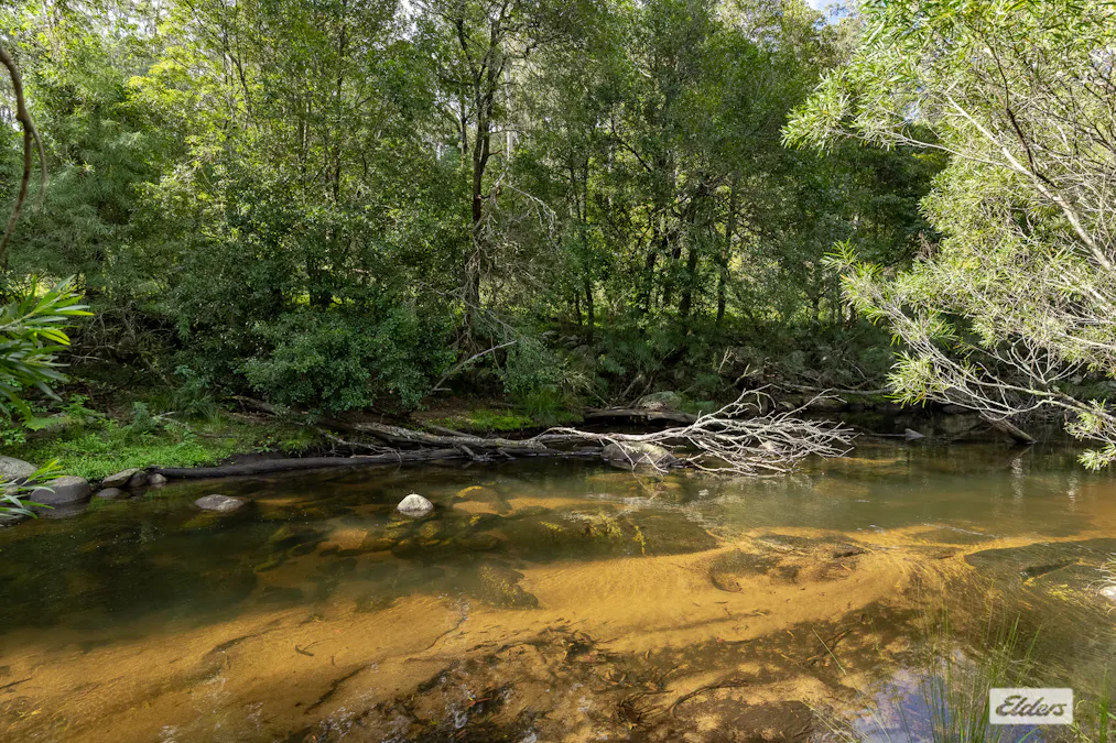 3784 Snowy Mountains Highway, Bemboka, NSW, 2550 - Image 31