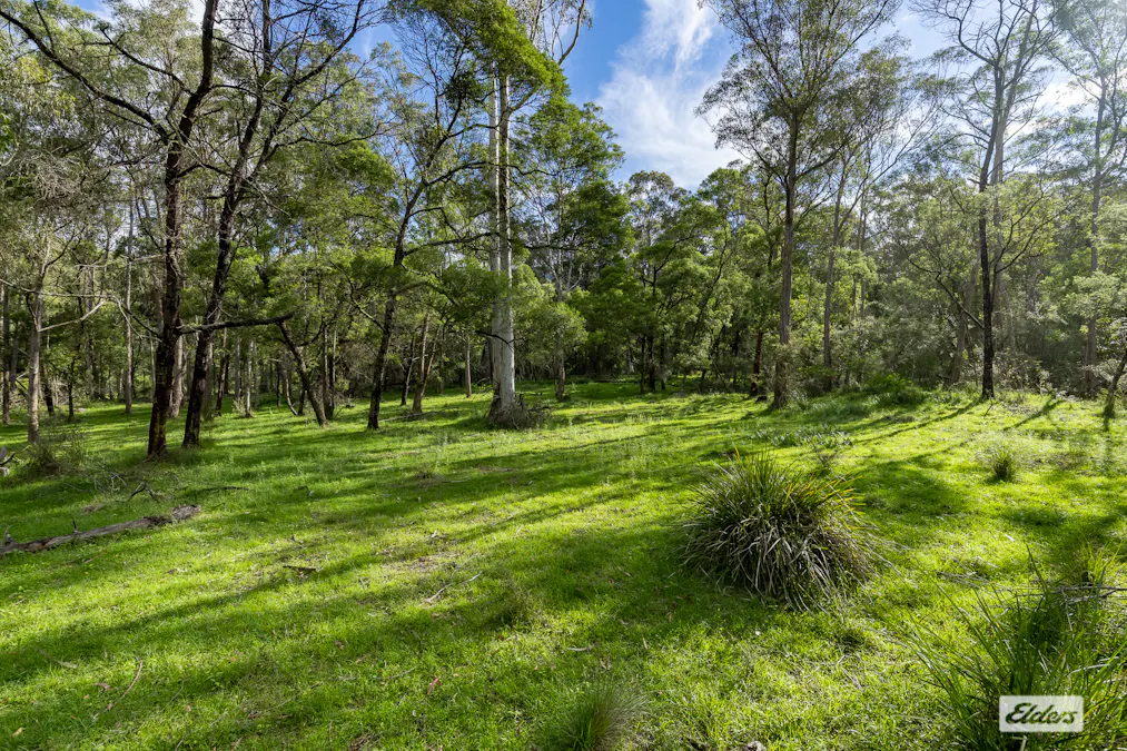 3784 Snowy Mountains Highway, Bemboka, NSW, 2550 - Image 32