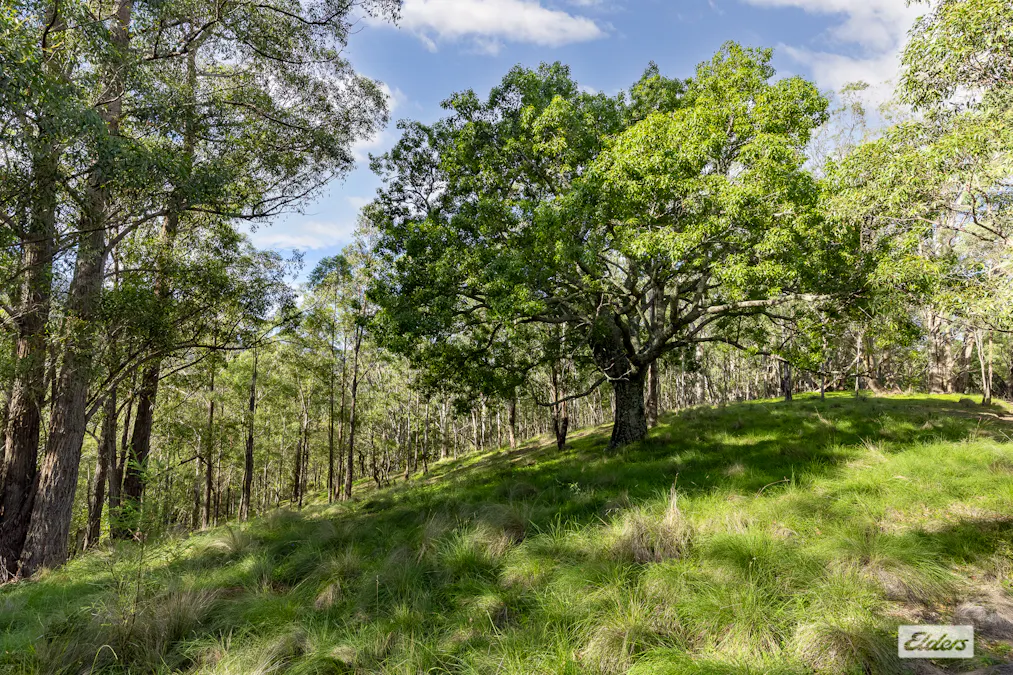3784 Snowy Mountains Highway, Bemboka, NSW, 2550 - Image 35